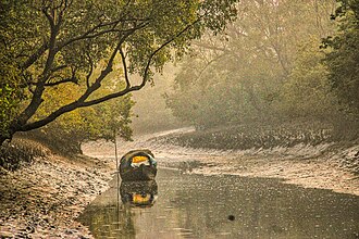 AC Sleeper Full Package ΓÇö Kolkata to Sundarbans